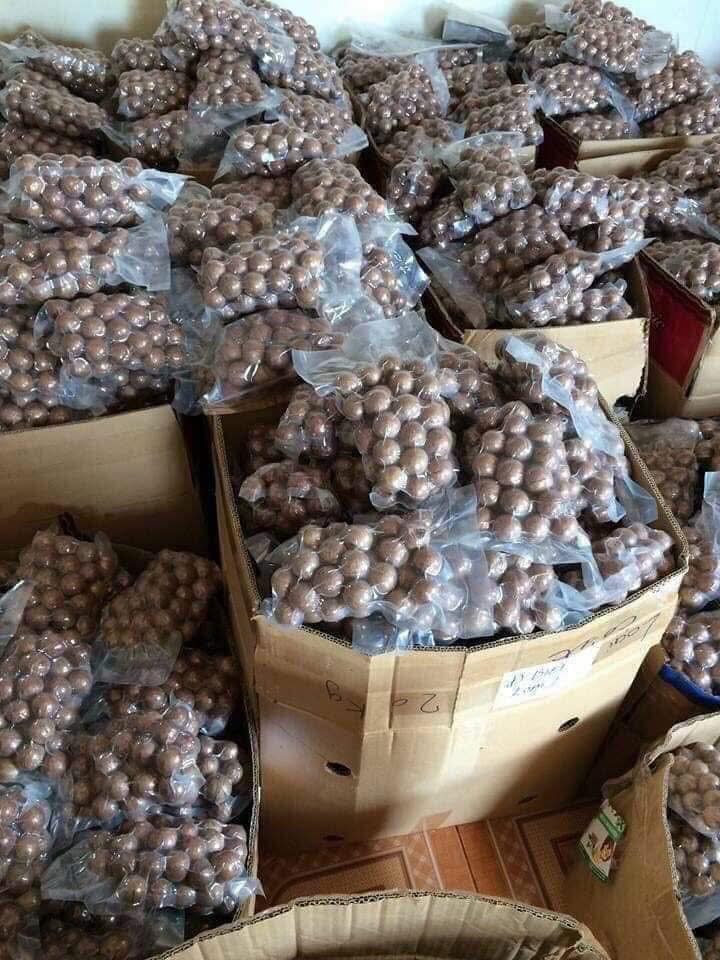 Macadamia (unshelled) 500g